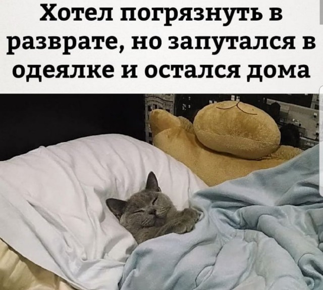 Немного картинок для настроения. Новогодний выпуск