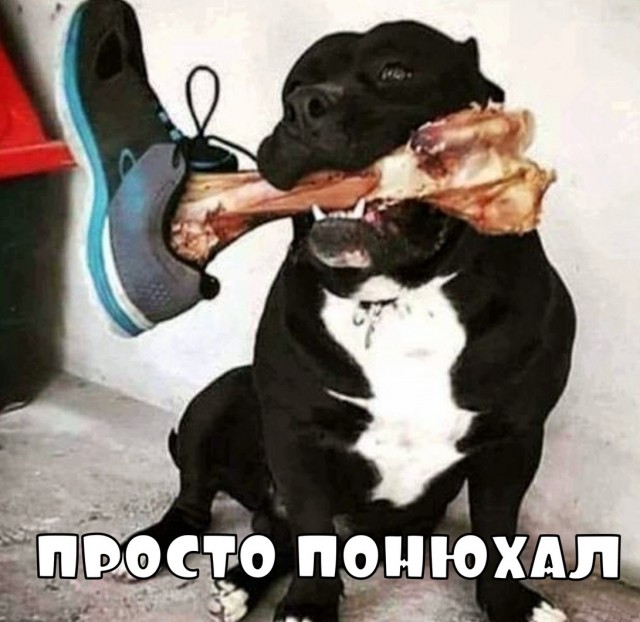 Бредзона 14.05.20