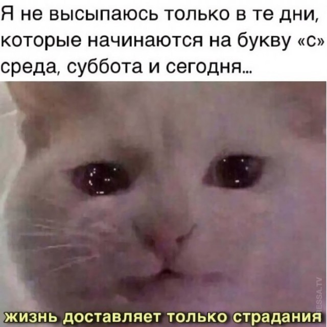 Картинки и мемы для настроения