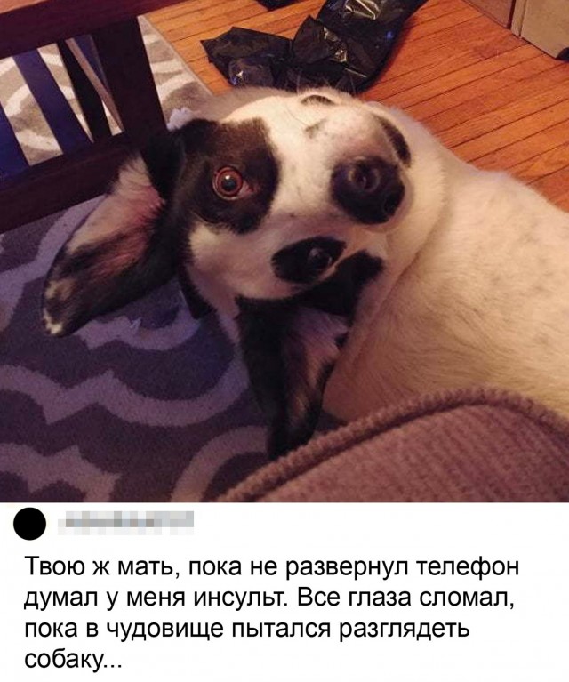 Бредзона 27.03.21