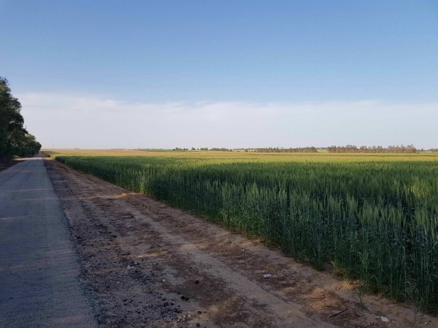 Дерзкий заезд на скутере 49cc через западные Альпы. День 4