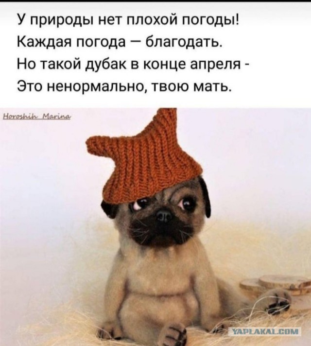 Вот уж точно - умом Россию не понять.      Про майские каникулы