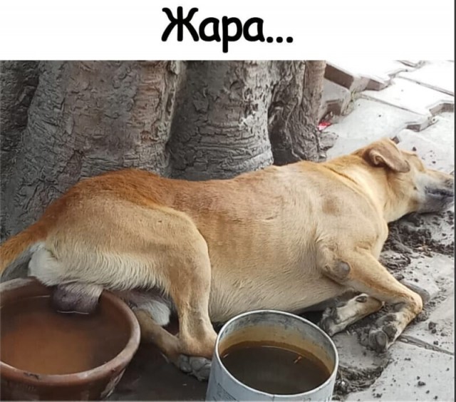 Жара, а многие женщины на улице в джинсах (лосинах), почему?