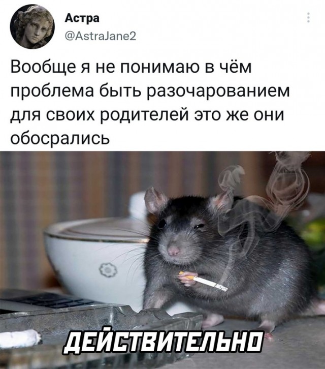 Весёлый полтишок 19.11.2021