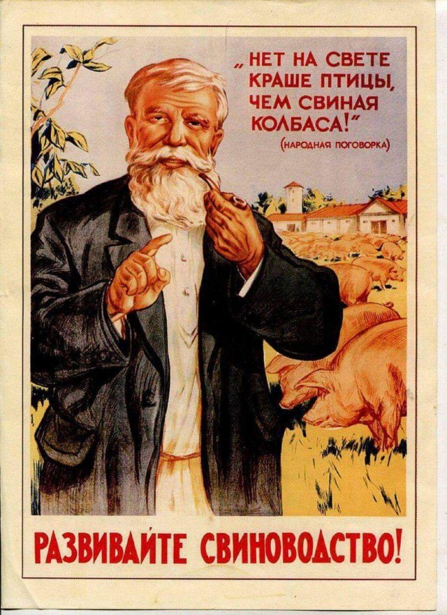 Всяческие картинки 22.11.2021