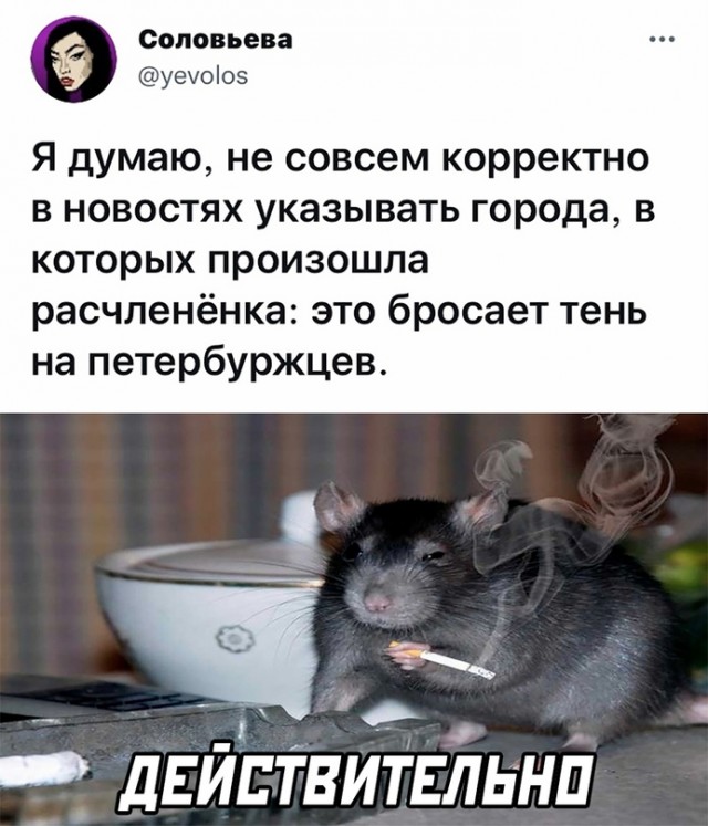 Картинки и мемы для настроения 23.11.2021
