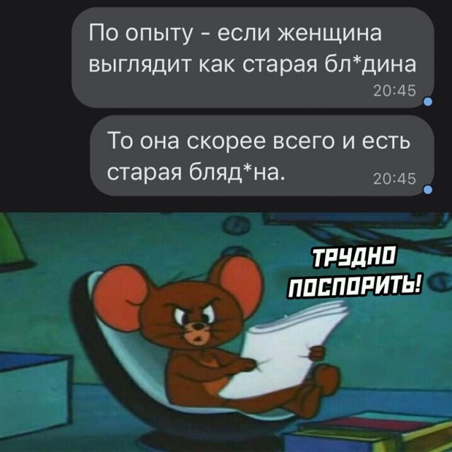 Весёлый полтишок 24.12