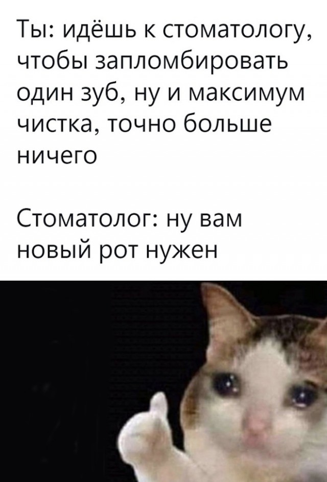 Подборка картинок всяческих 09.02.2022