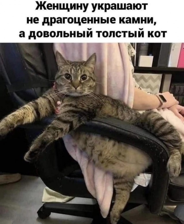 Бывший муж выгнал и забрал авто. Кредит на мне