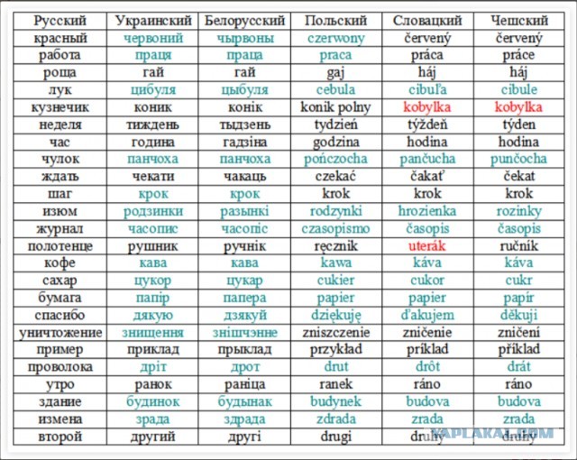Украина 24