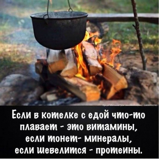Жизнь под микроскопом