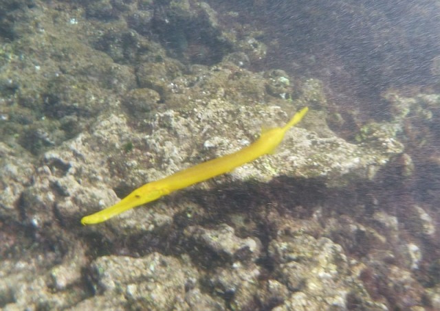 Деревенская Америка