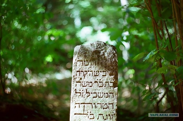 Крым. Змеиная балка. Терень-Джалга.