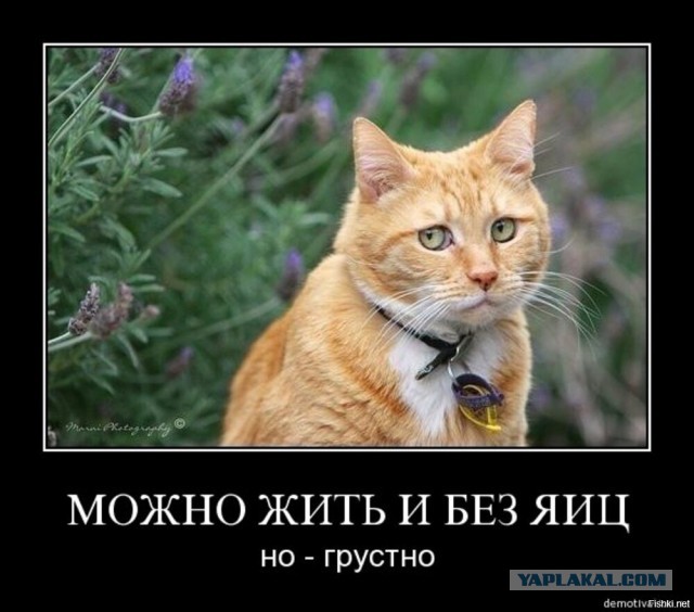 Коллега уже год как завязал. Результаты