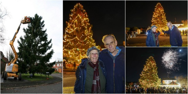 Ель, посаженная в саду пары 44 года назад, теперь имеет высоту 15 метров