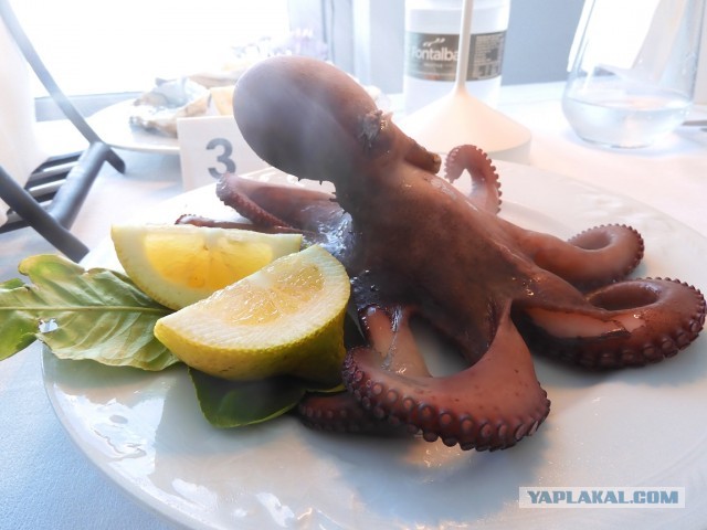 Каспер\Сиськи