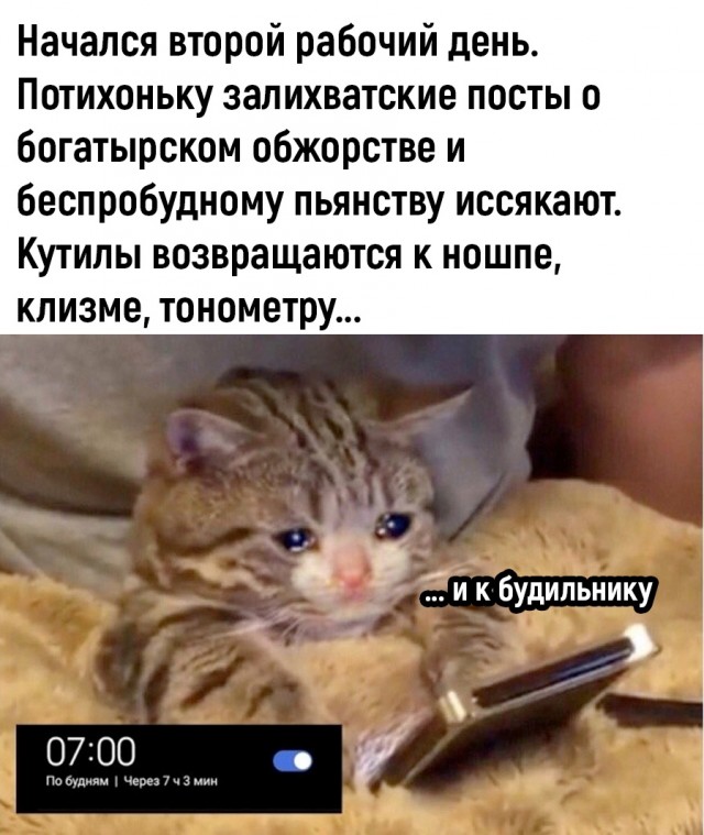 Так себе картинки 10.01.23