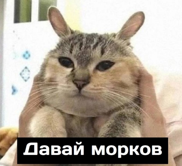 Картинки и мемы, всем хороших выходных