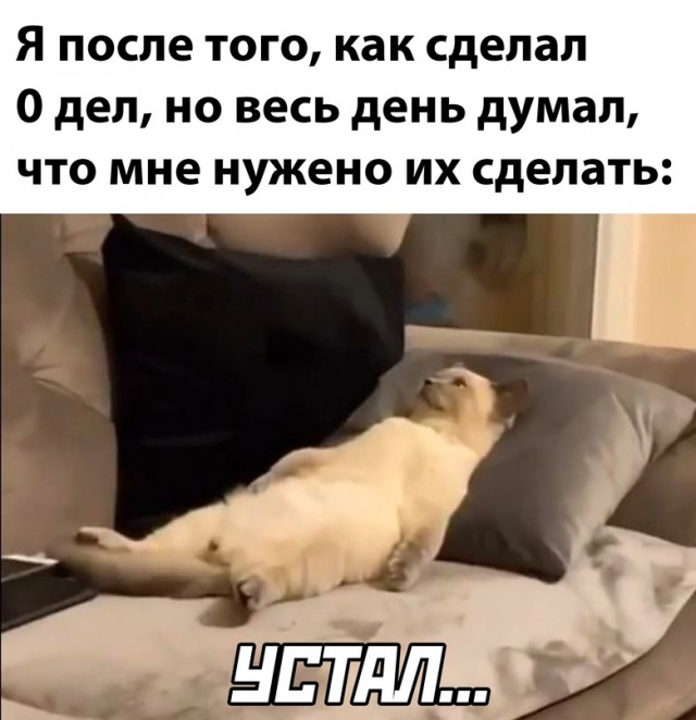 Весёлый полтишок 28.02.23