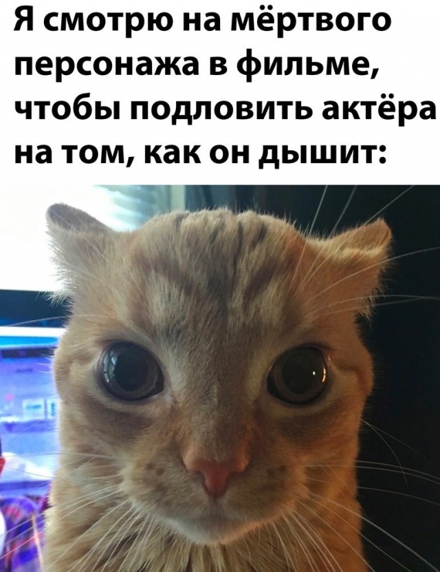 Нуштош 01.03.23