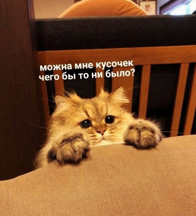 Картинки и мемы, всем хороших выходных