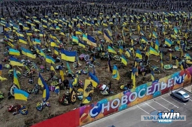 Жена офицера из Екатеринбурга более полугода разыскивает тело погибшего мужа