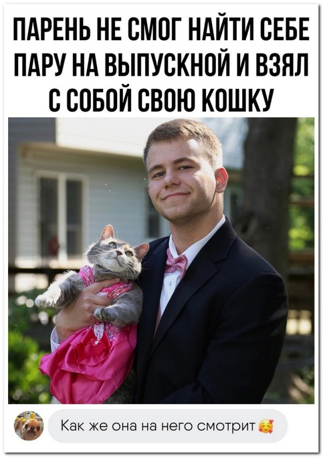 Забавные комментарии из социальных сетей (15.05.23)