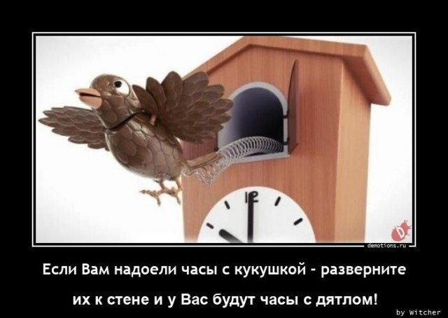 69 разных картинок для настроения (2)