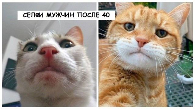 "Дальнобойщики — они до бабы голодные всегда". Исповедь проститутки