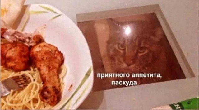 Отряд быстрого деградирования