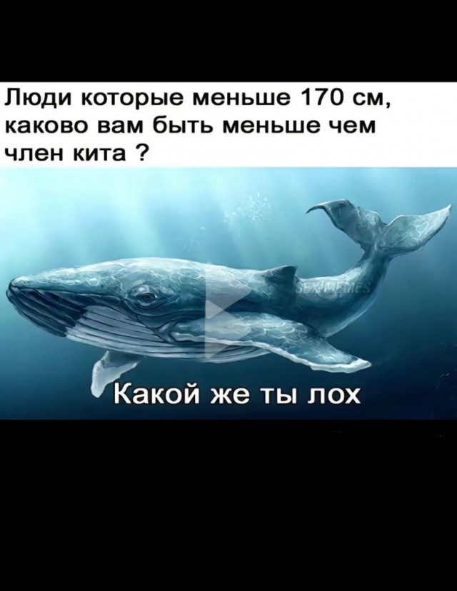 Всякой Хни вам в ленту, дорогие деграданты