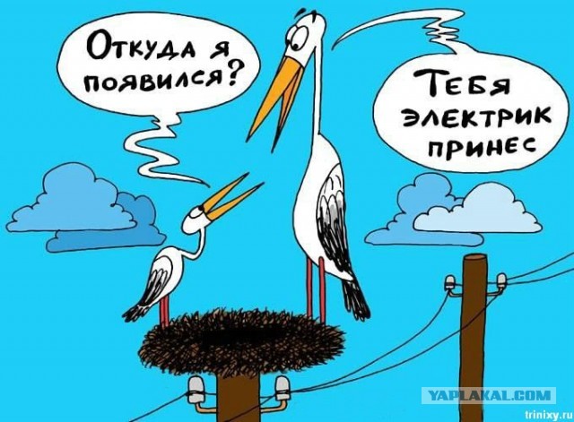 Несколько заповедей электрика!