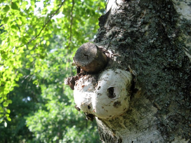 Необычные статуи мира