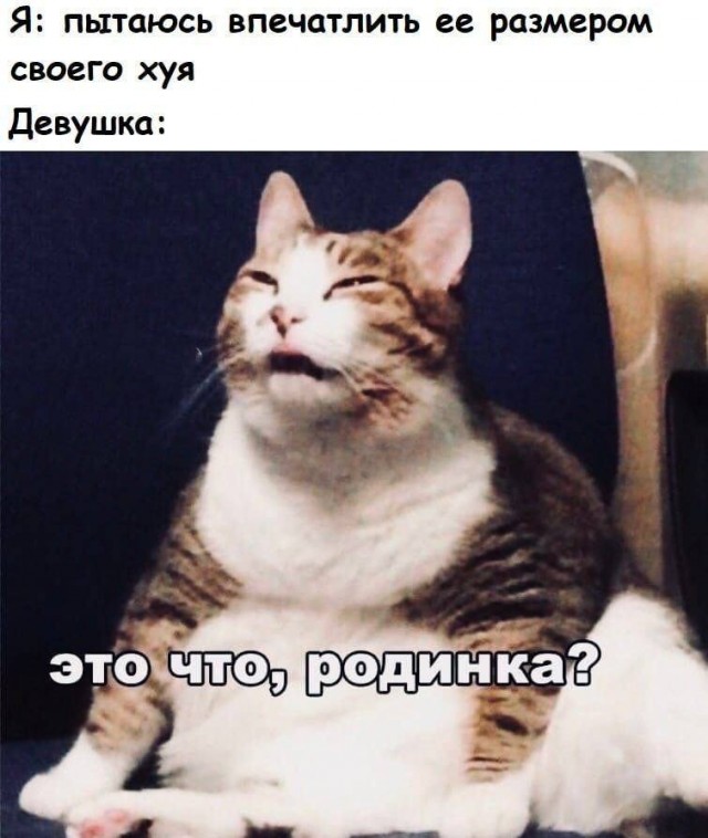 Новый президент Аргентины