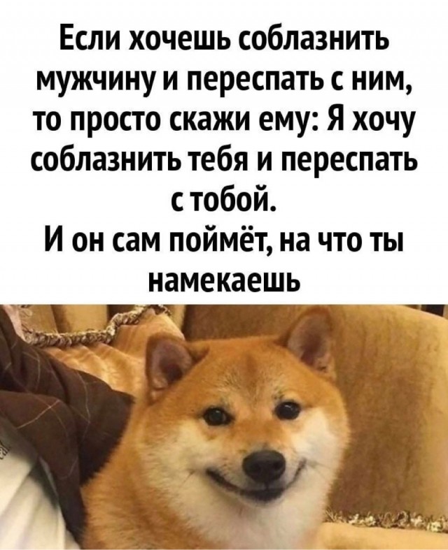 Доставка баянов
