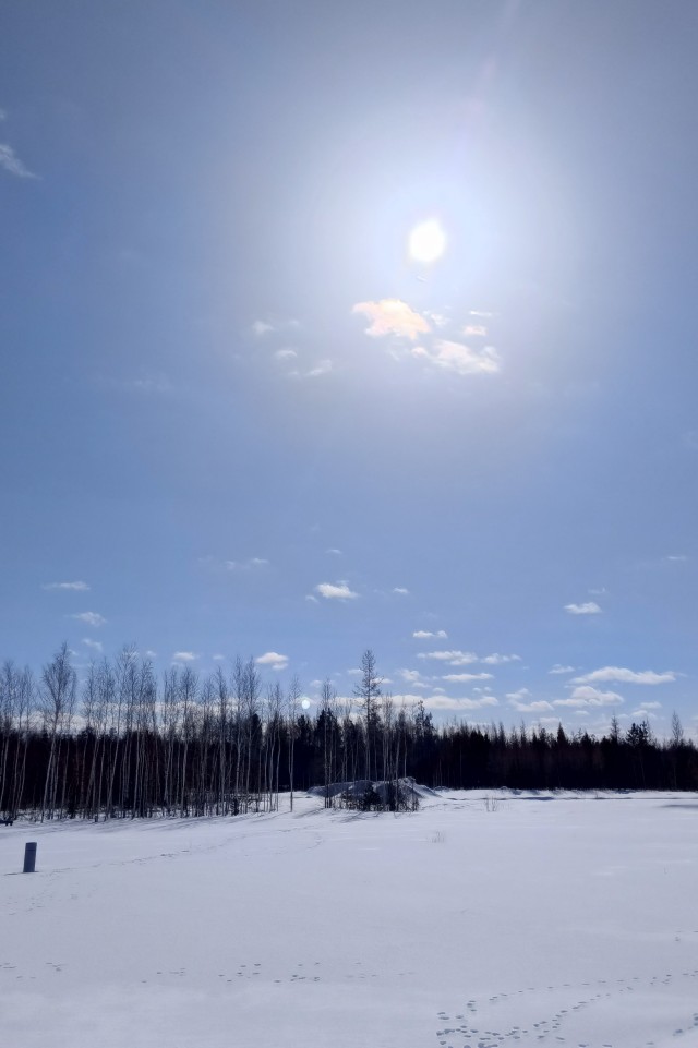 Сегодняшнее фото без затей