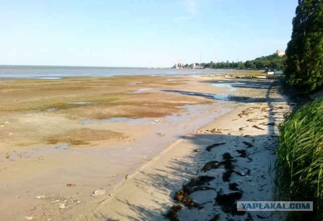 Россия построит на Азовском море 20 курортов