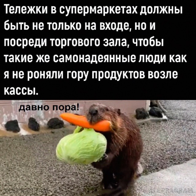 Так себе картинки 10.07.24