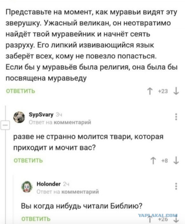 Веселые картинки к пятнице (30.08)