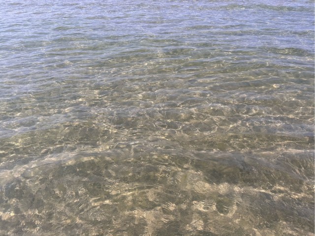 Туристы, приехавшие с Чёрного моря, массово подают в суд из-за проблем во время отпуска