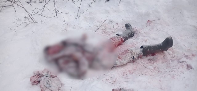 В Приморье охотник стал жертвой медведя