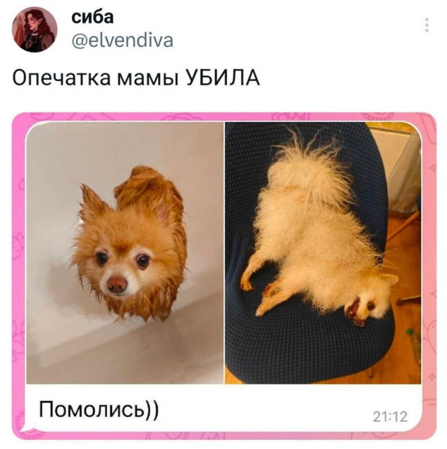 Доставка новостей