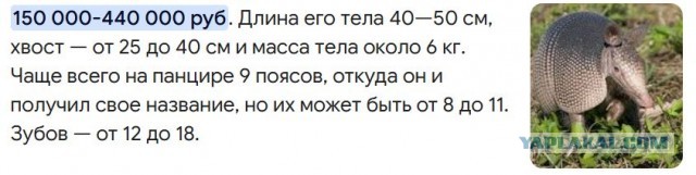 Так себе картинки 17.03.25
