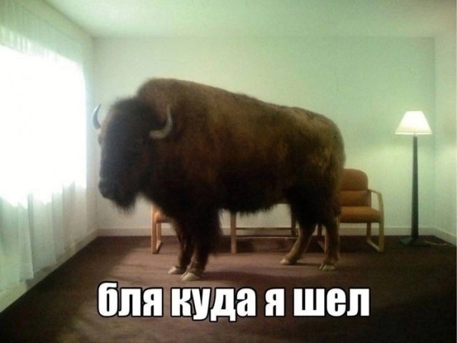 Нуштош 26.03.2025. В один из дымных дней (s3e9)