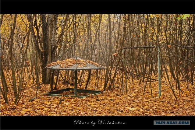 Чернобыль, Припять, Реактор.