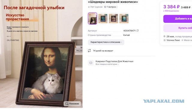 Моему коту срочно нужна эта штука!