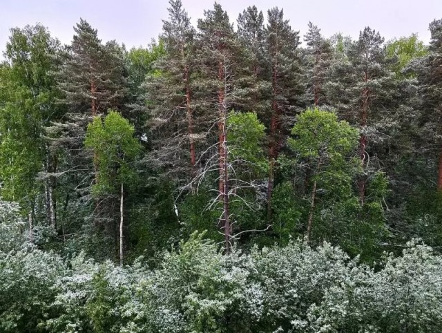 Деревенская Америка - 10