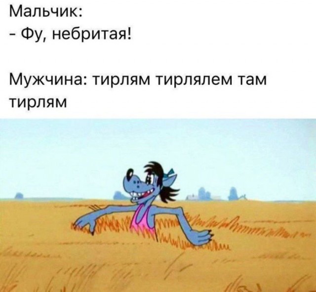 Весёлый полтишок 06.06.25