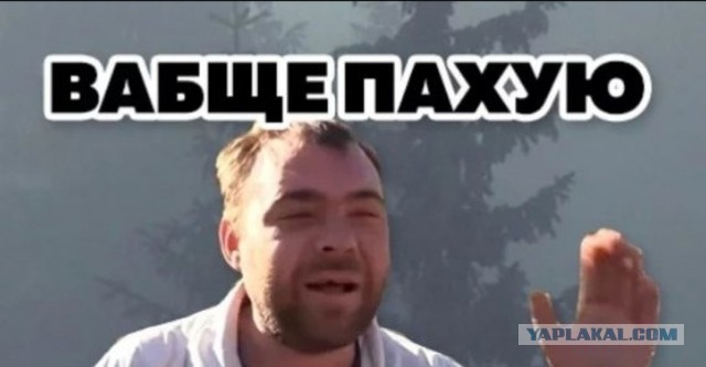 А как там эти? Снова в путь?