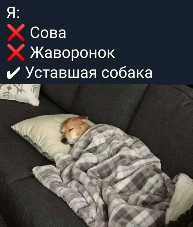 Картинки для деградации (разной степени свежести)